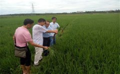 榴莲视频色版APP下载养分检测仪原理