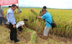 榴莲视频色版APP下载快速检测仪提高农业测土速率